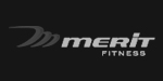 Merit logo
